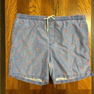 Ingear Light Blue Flamingo Swim Trunks